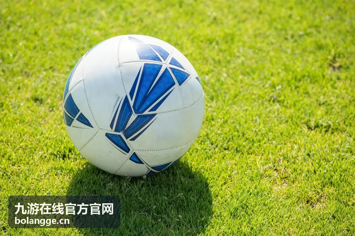 九游在线官方官网账号异常核对入口配图